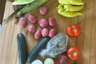 1247 Larimer Ave, Lincoln Larimer, PA 15206 - Photo 29