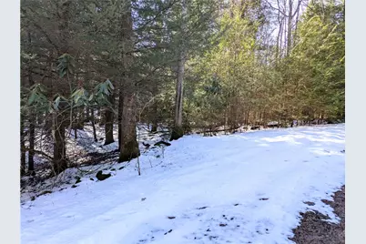 160 Mill Run School Rd, Wharton Township, PA 15437 - Photo 3