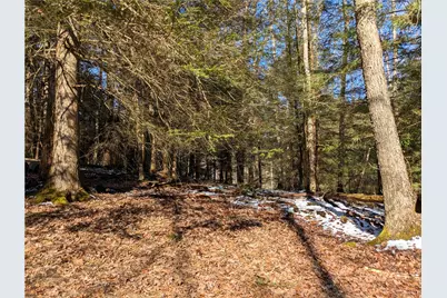 160 Mill Run School Rd, Wharton Township, PA 15437 - Photo 19