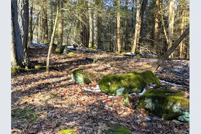 160 Mill Run School Rd, Wharton Township, PA 15437 - Photo 11