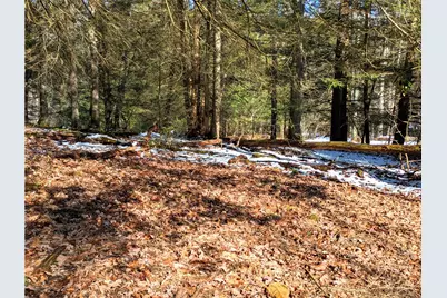 160 Mill Run School Rd, Wharton Township, PA 15437 - Photo 17