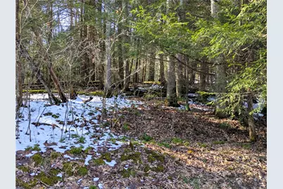 160 Mill Run School Rd, Wharton Township, PA 15437 - Photo 5