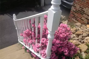 110 Lager Dr, West Deer, PA 15044 - Photo 41