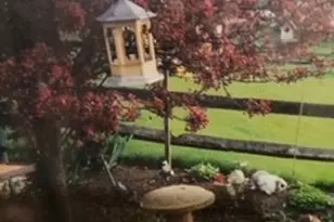 110 Lager Dr, West Deer, PA 15044 - Photo 43