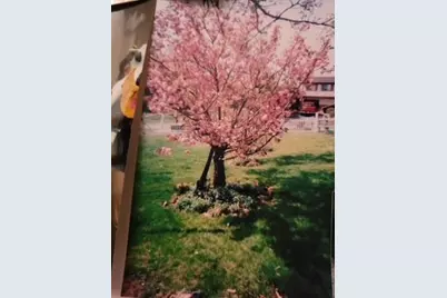 110 Lager Dr, West Deer, PA 15044 - Photo 45