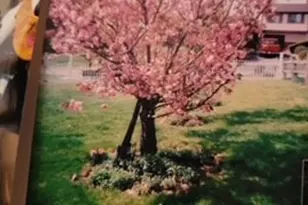 110 Lager Dr, West Deer, PA 15044 - Photo 45