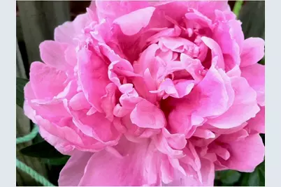 110 Lager Dr, West Deer, PA 15044 - Photo 39