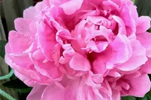 110 Lager Dr, West Deer, PA 15044 - Photo 39