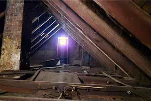 1303 First Ave, Koppel, PA 16136 - Photo 41