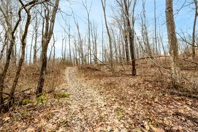 202 Lytle School Rd, Sandy Creek Township, PA 16145 - Photo 37