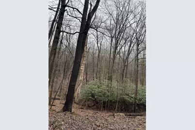 0 Spruce Hollow Road, Bullskin Township, PA 15425 - Photo 1