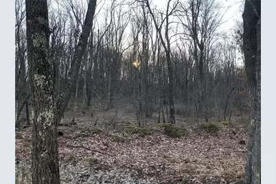 1074 Nemacolin Drive, Ohiopyle, PA 15470 - Photo 41