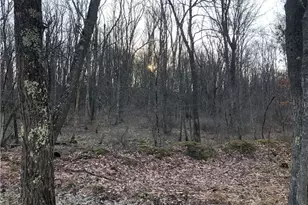 1074 Nemacolin Dr, Ohiopyle, PA 15470 - Photo 41