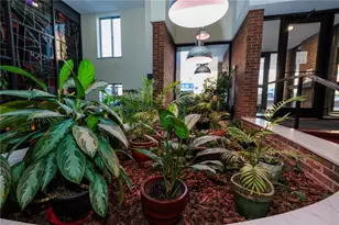 5 Bayard Rd, Pittsburgh, PA 15213 - Photo 7