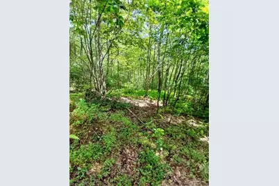 702 Shepherd Rd, Wharton Township, PA 15437 - Photo 3