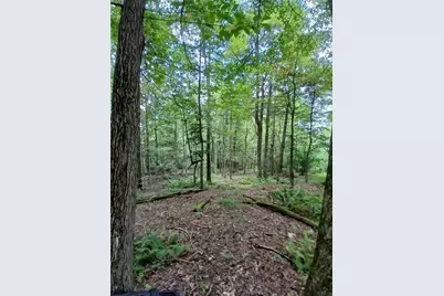 702 Shepherd Rd, Wharton Township, PA 15437 - Photo 9