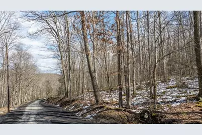 702 Shepherd Rd, Wharton Township, PA 15437 - Photo 1