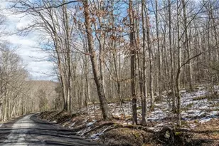 702 Shepherd Rd, Wharton Township, PA 15437 - Photo 1
