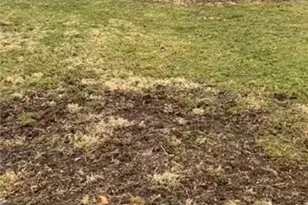 0 Klein Pl, Baldwin Twp, PA 15226 - Photo 3