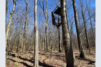 259 Carey Lane, Derry Township, PA 15658 - Photo 13