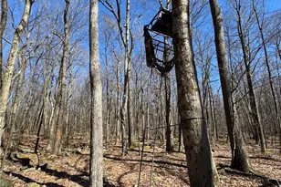 259 Carey Ln, Derry Township, PA 15658 - Photo 13