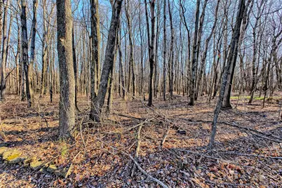 7703 Route 553 Hwy, Cherryhll Township-Clymer, PA 15728 - Photo 43