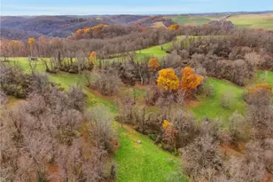 327 Sugar Run Rd, Franklin Township, PA 15370 - Photo 49