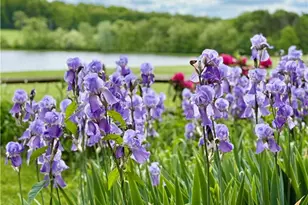 121 Brewer Rd, Clinton Township, PA 16056 - Photo 7