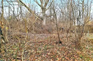 15 Montour St, Canonsburg, PA 15317 - Photo 39