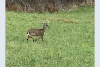 414 State Route 231, Donegal Township, PA 15323 - Photo 39