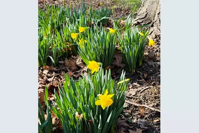 335 Mingo Road, Marshall, PA 15090 - Photo 17