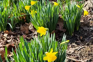 335 Mingo Rd, Marshall, PA 15090 - Photo 17