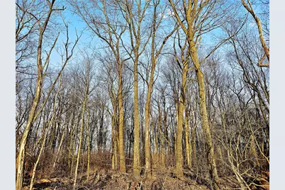 00 Blackleggs Rd, Conemaugh-Yough Townships, PA 15681 - Photo 7