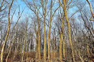 00 Blackleggs Rd, Conemaugh-Yough Townships, PA 15681 - Photo 7