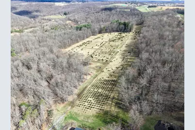 0 Prospect Rd, Connoquenessing Township, PA 16033 - Photo 13