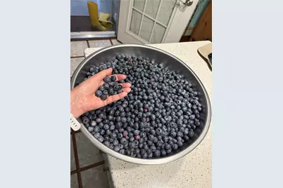 1065 E Mahoning St, Punxsutawney Area School District, PA 15767 - Photo 45