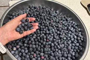 1065 E Mahoning St, Punxsutawney Area School District, PA 15767 - Photo 45