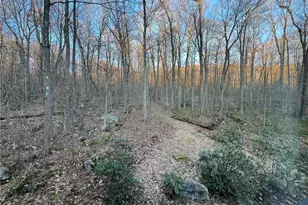 340 W Laurel Ln, Upper Turkeyfoot Township, PA 15557 - Photo 19