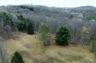 8886 Route 954 Hwy, Washington/Creekside, PA 15732 - Photo 45