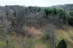 8886 Route 954 Hwy, Washington/Creekside, PA 15732 - Photo 43