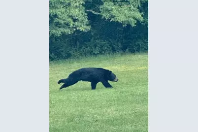 143 Chimney Ridge Road, Other, PA 15522 - Photo 47