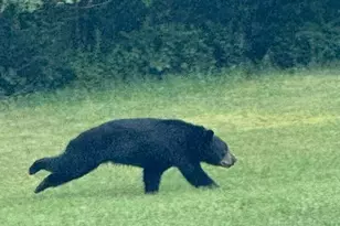 143 Chimney Ridge Rd, Other, PA 15522 - Photo 47