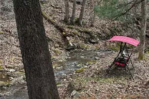 273 Rockdale Rd, Penn Township, PA 16002 - Photo 45