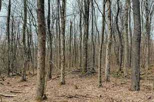 Lot F-1 Fern Mountain Rd, Donegal, PA 15501 - Photo 1