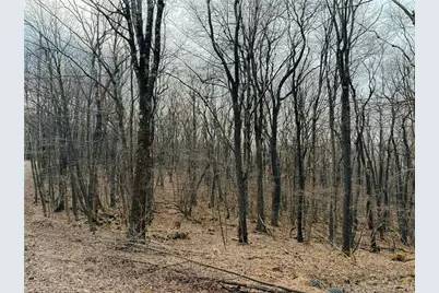 Lot F-1 Fern Mountain Rd, Donegal, PA 15501 - Photo 5