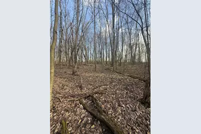 0 Main St, North Union Township, PA 15456 - Photo 1