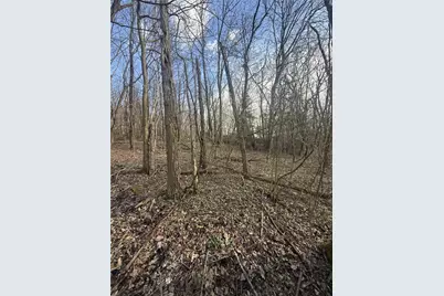 0 Main St, North Union Township, PA 15456 - Photo 5