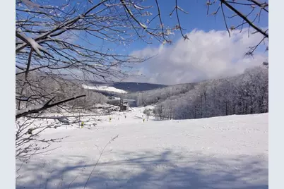 1215 Veech Lane, Hidden Valley, PA 15502 - Photo 29