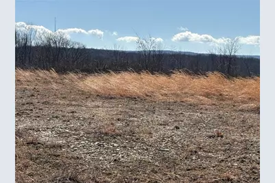 Lot Auction Ln, Wheatfield Township (East/West), PA 15954 - Photo 13