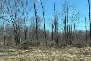 Lot Auction Ln, Wheatfield Township (East/West), PA 15954 - Photo 1